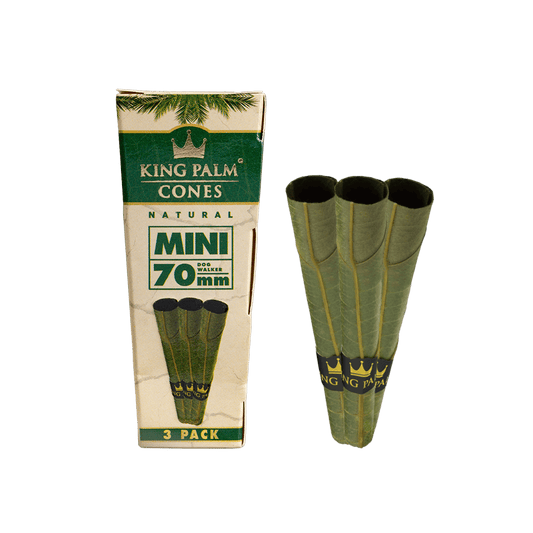 KING PALM CONES | 3PACK