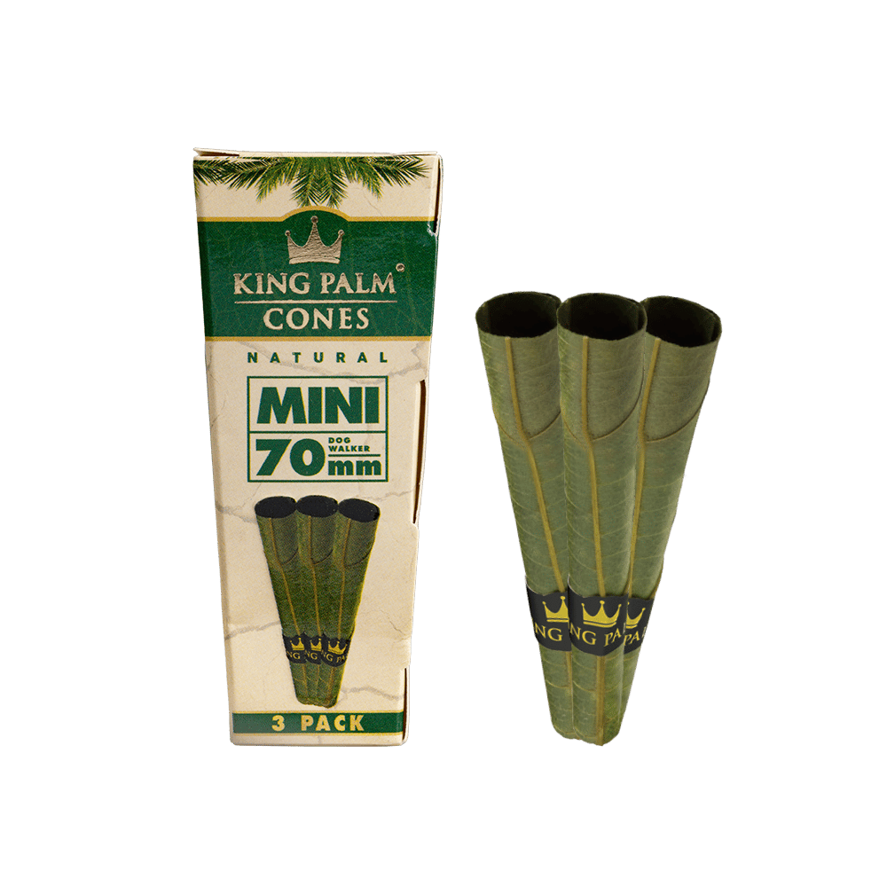 KING PALM CONES | 3PACK