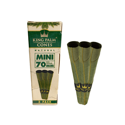 KING PALM CONES | 3PACK